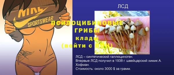 МДПВ Алексеевка