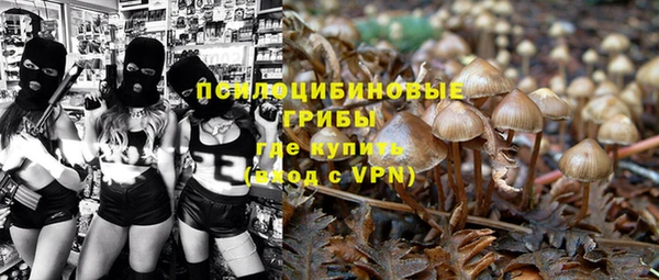 прущая мука Алексин