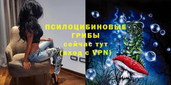 круглые Алзамай